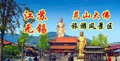 骚货一级黄片江苏无锡灵山大佛旅游风景区